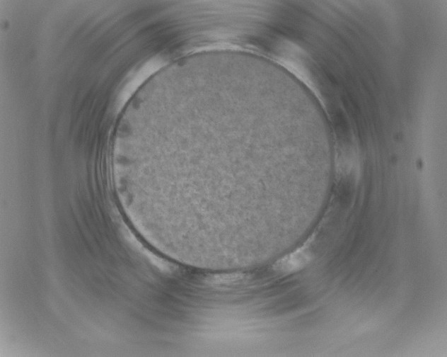 X0000077351290200611171849