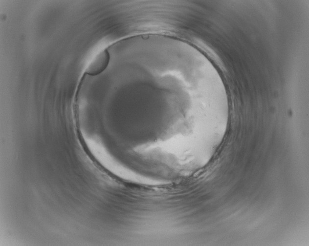 X0000077351291200611171849