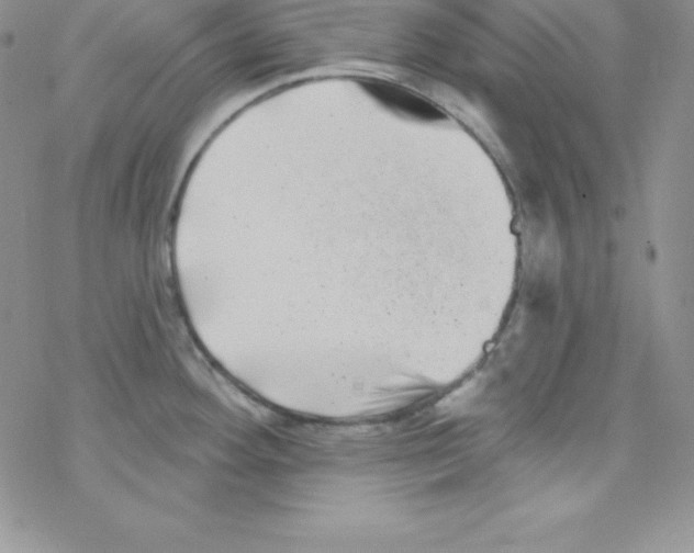 X0000077351292200611171849