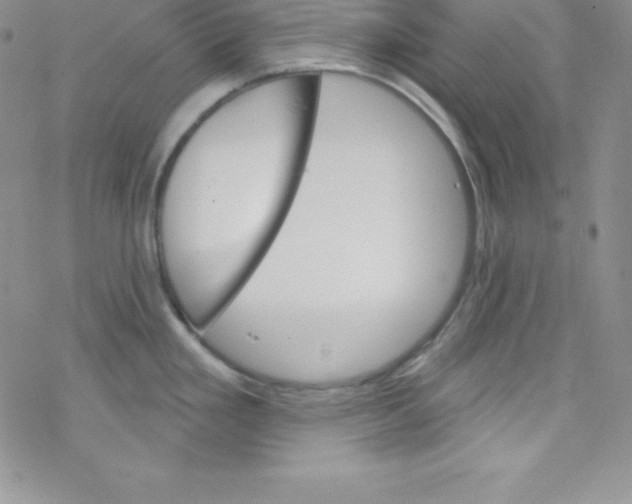 X0000077351293200611171849