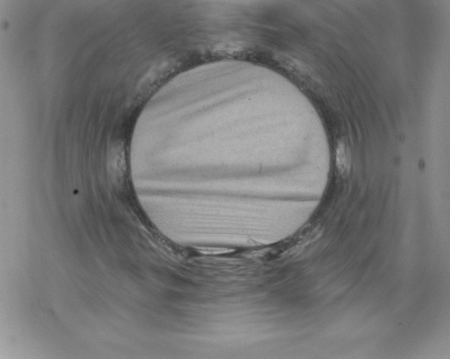 X0000077351299200611171848