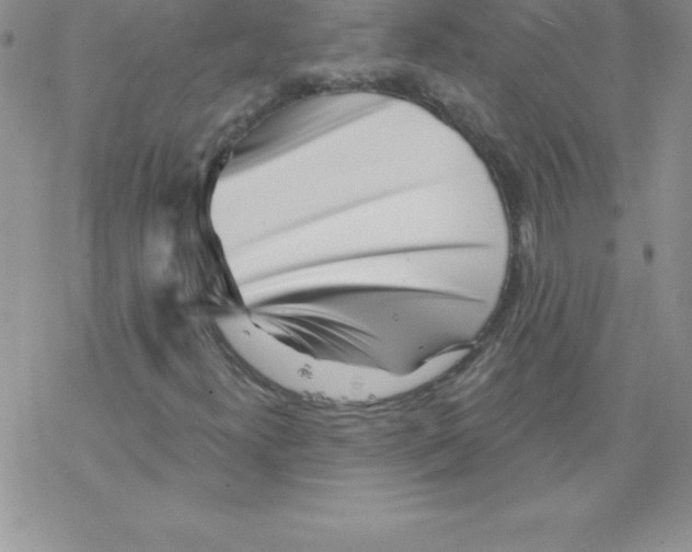 X0000077351300200611171848