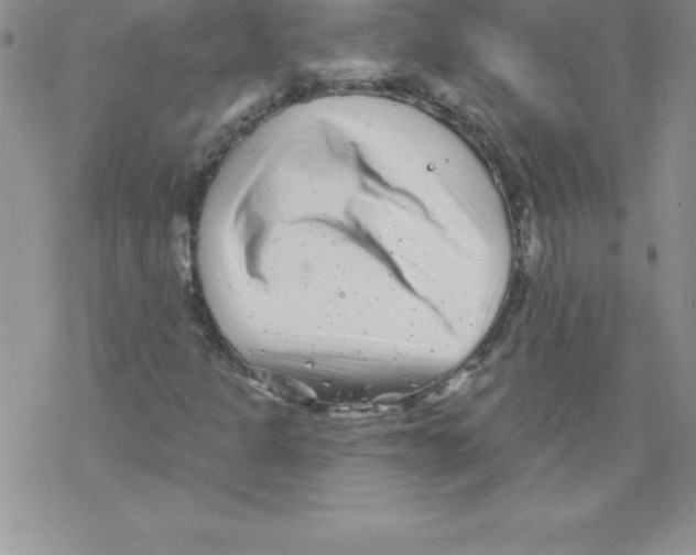 X0000077351301200611171848