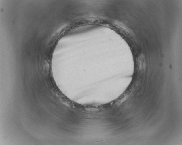 X0000077351302200611171848