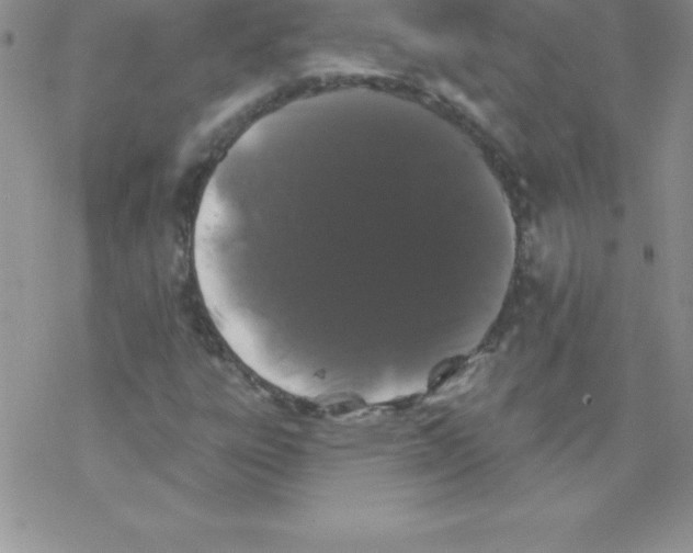 X0000077351303200611171848