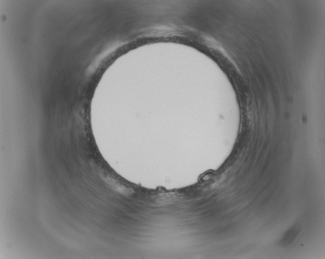 X0000077351304200611171848