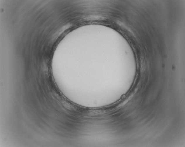 X0000077351305200611171848