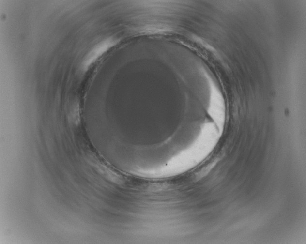 X0000077351306200611171848