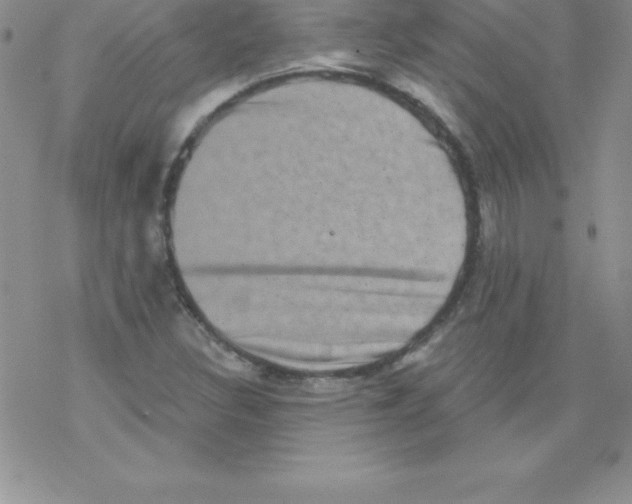 X0000077351308200611171848