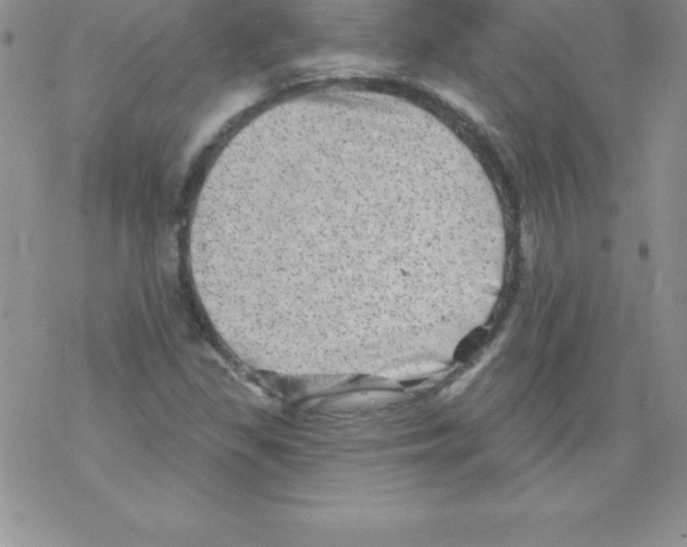 X0000077351309200611171848