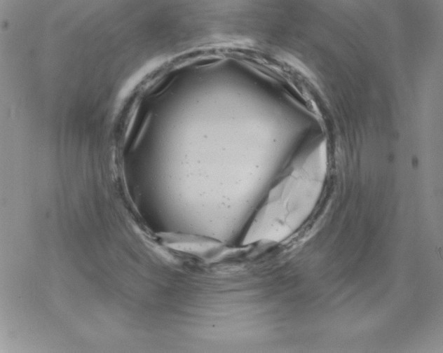 X0000077351310200611171848