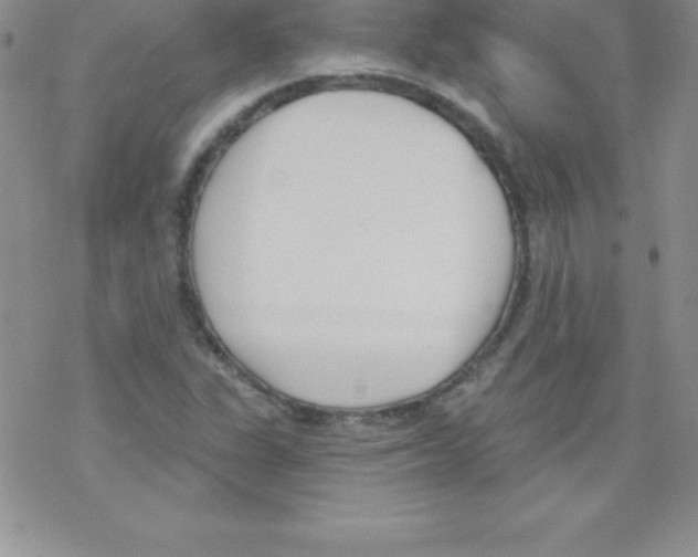 X0000077351311200611171848