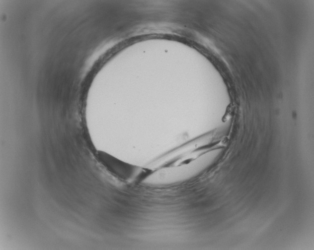 X0000077351312200611171848