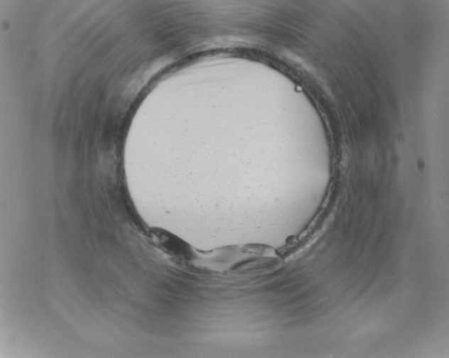 X0000077351313200611171848