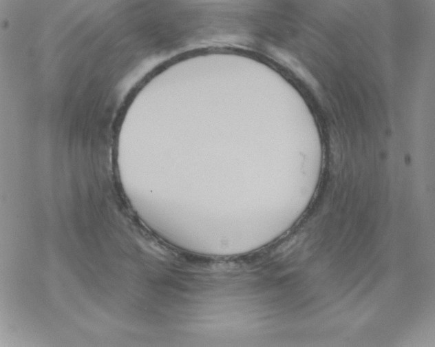 X0000077351316200611171848