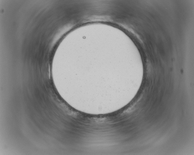 X0000077351317200611171848