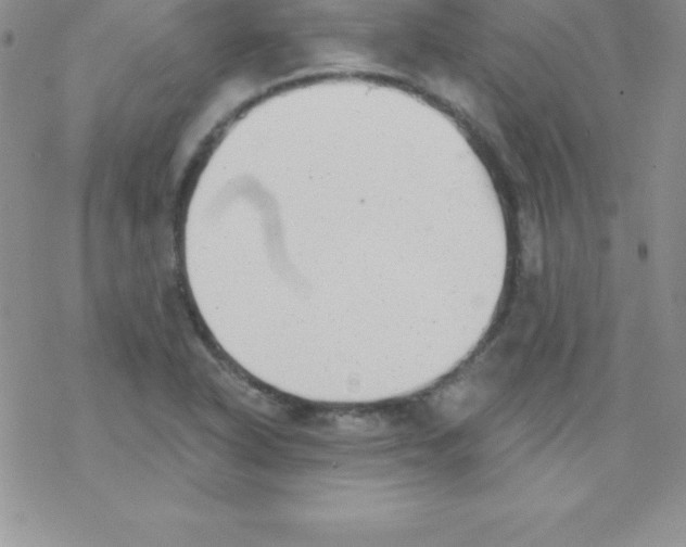 X0000077351318200611171848