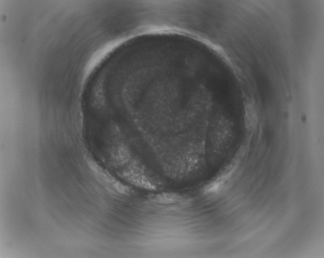 X0000077351319200611171848