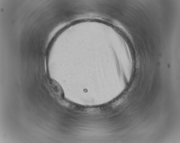 X0000077351320200611171848