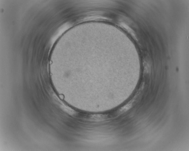 X0000077351322200611171848