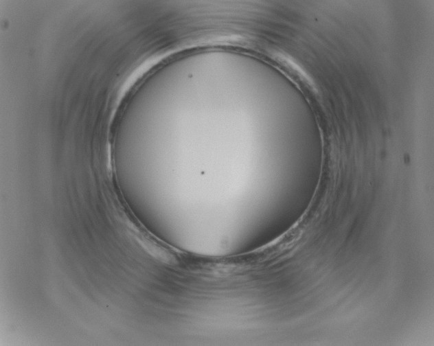 X0000077351324200611171848