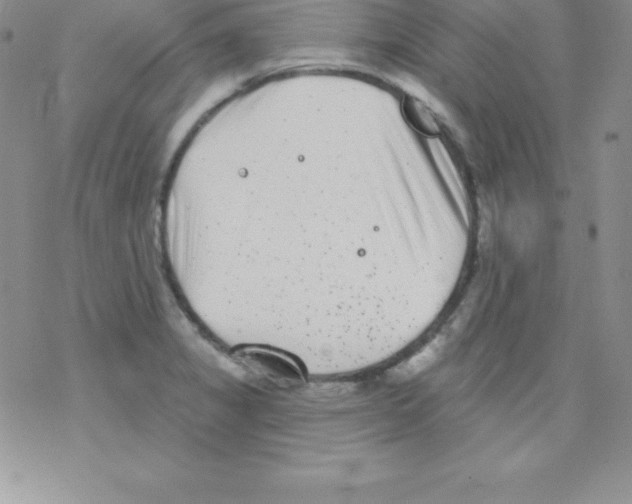 X0000077351325200611171848