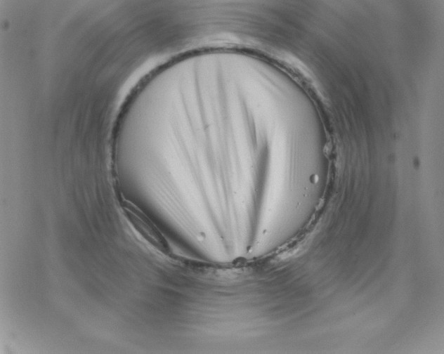 X0000077351326200611171848