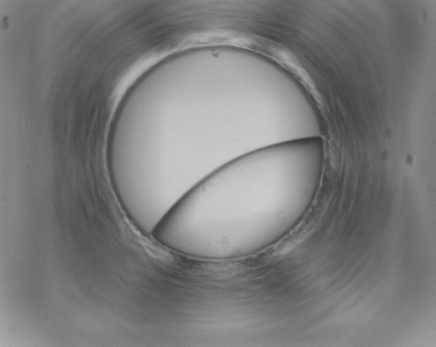 X0000077351328200611171848