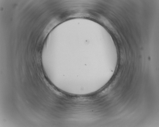 X0000077351329200611171848