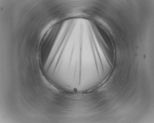 X0000077351330200611171848