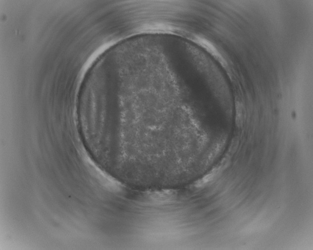 X0000077351331200611171848