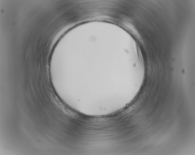 X0000077351332200611171848