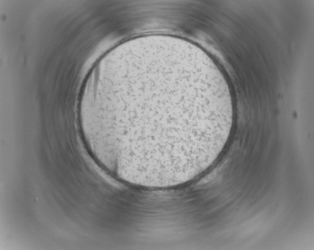 X0000077351333200611171848