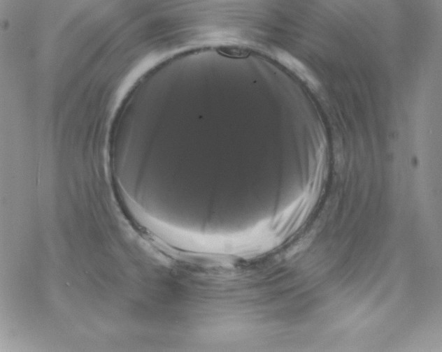 X0000077351334200611171848