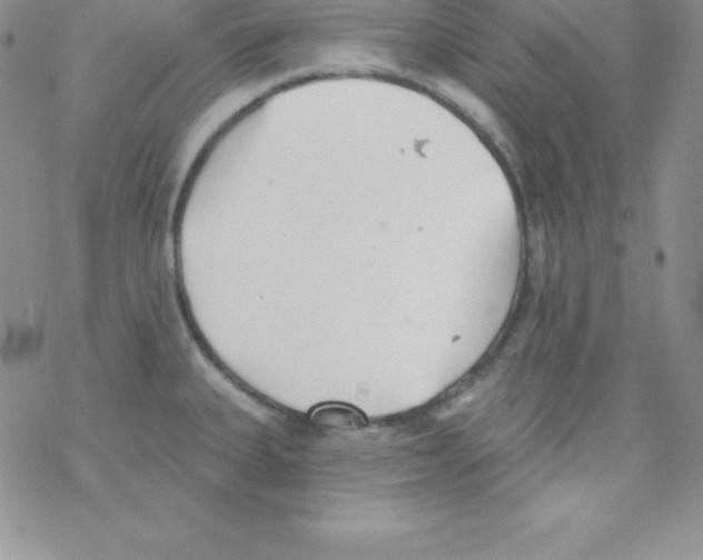 X0000077351335200611171848