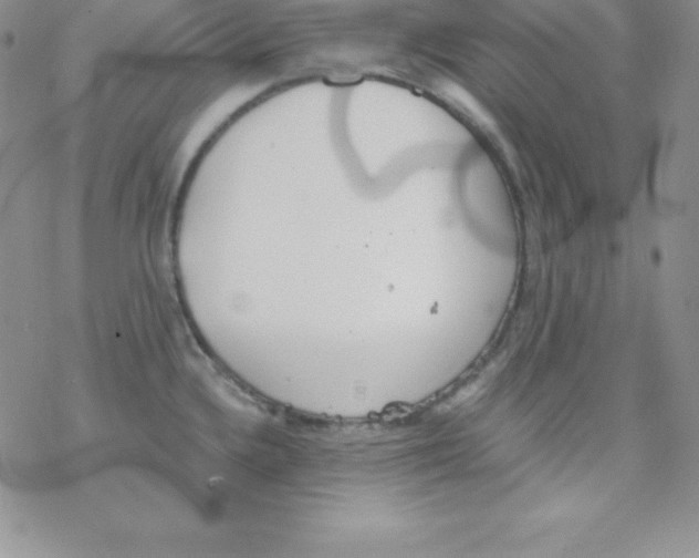 X0000077351336200611171848