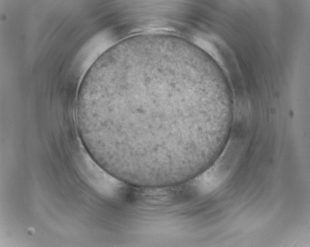 X0000077351338200611171848