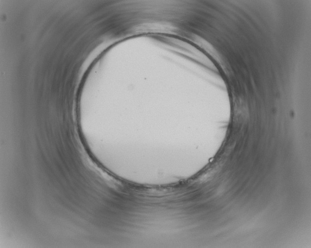 X0000077351339200611171848