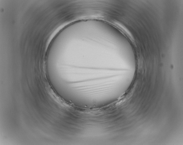 X0000077351340200611171848