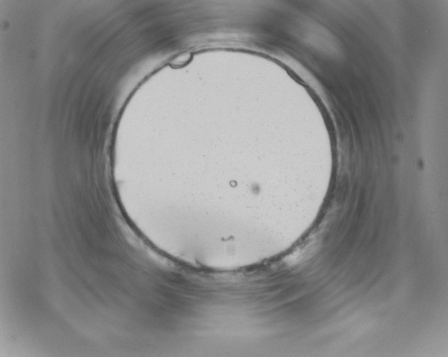 X0000077351341200611171848