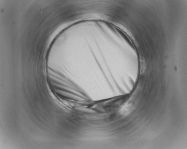 X0000077351342200611171848