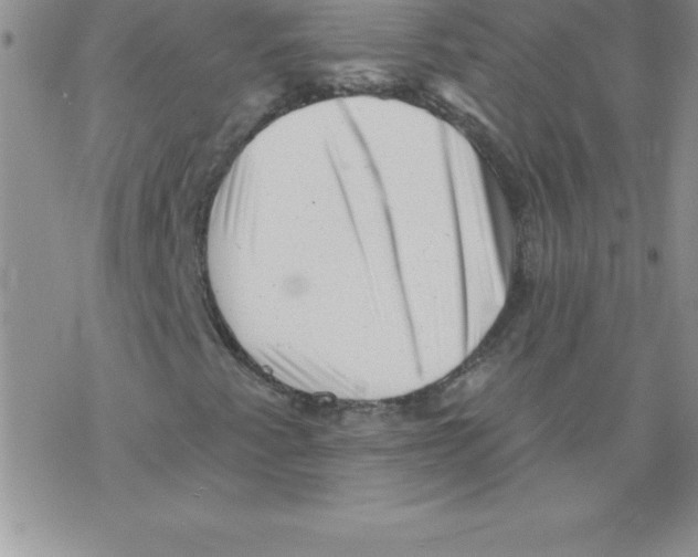 X0000077351345200611171848