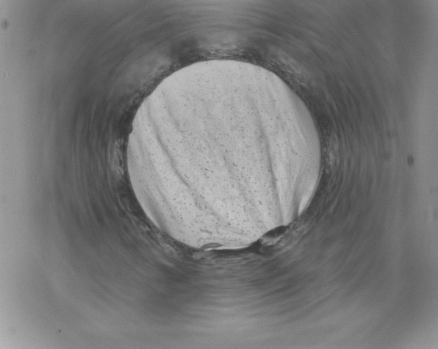 X0000077351346200611171848