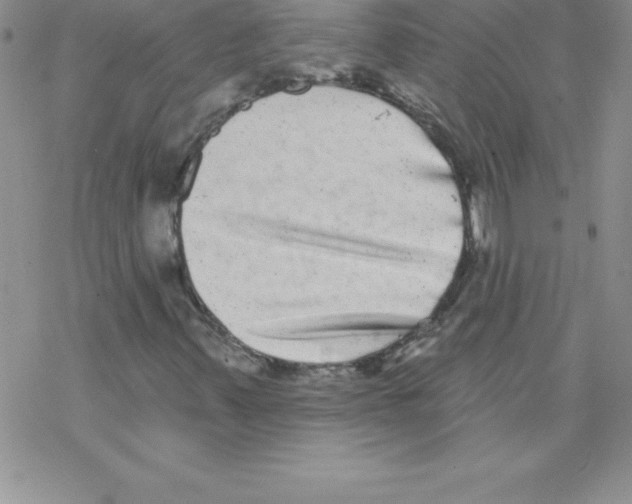 X0000077351347200611171848