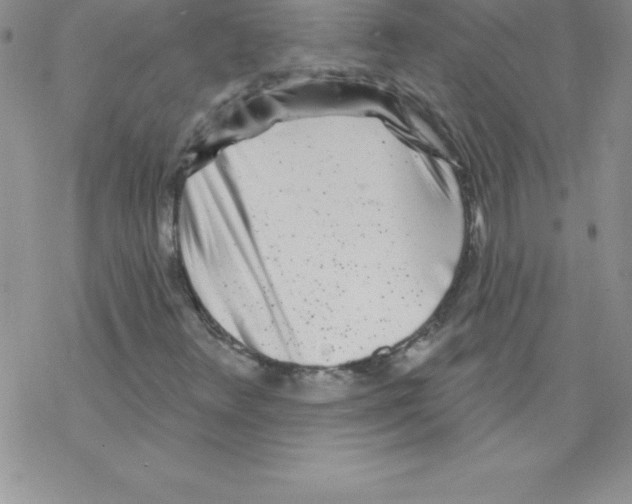 X0000077351348200611171848