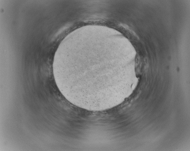 X0000077351350200611171848