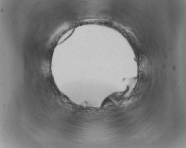 X0000077351351200611171848