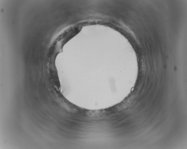 X0000077351352200611171848