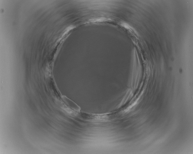 X0000077351353200611171848