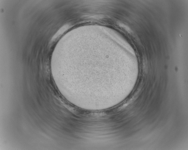 X0000077351354200611171848